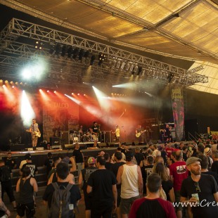 0075 Punk In Drublic Festival